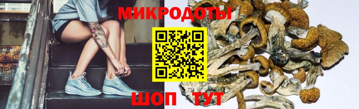 Псилоцибиновые грибы ЛСД  Вход с VPN  Новосибирск 